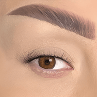 2009-false eyelashes-cklashes