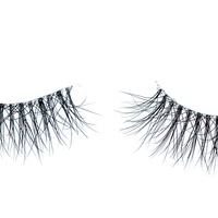 2001-false eyelashes-cklashes-2