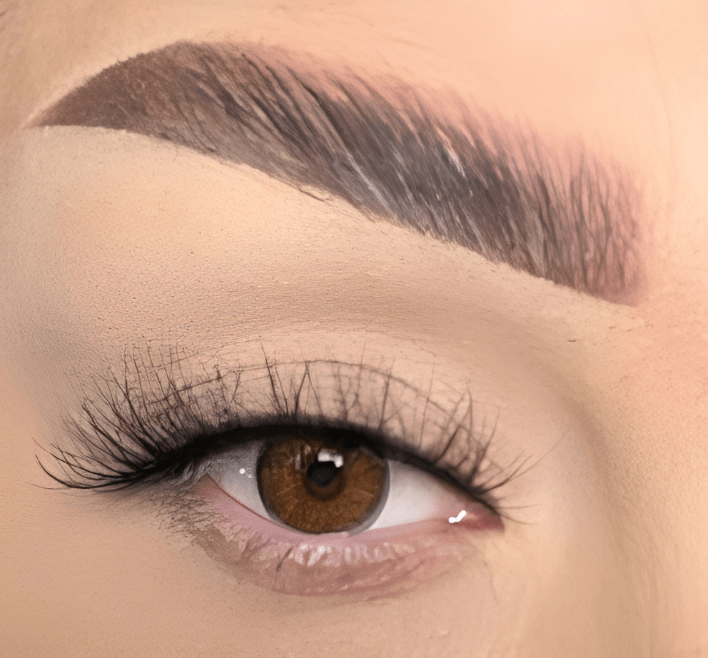 2019-false eyelashes-cklashes