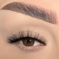 Classy-false eyelashes-cklashes