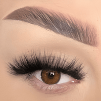 Cleopatra-false eyelashes-cklashes