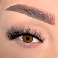 Hollywood-false eyelashes-cklashes