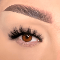 LaStella-false eyelashes-cklashes