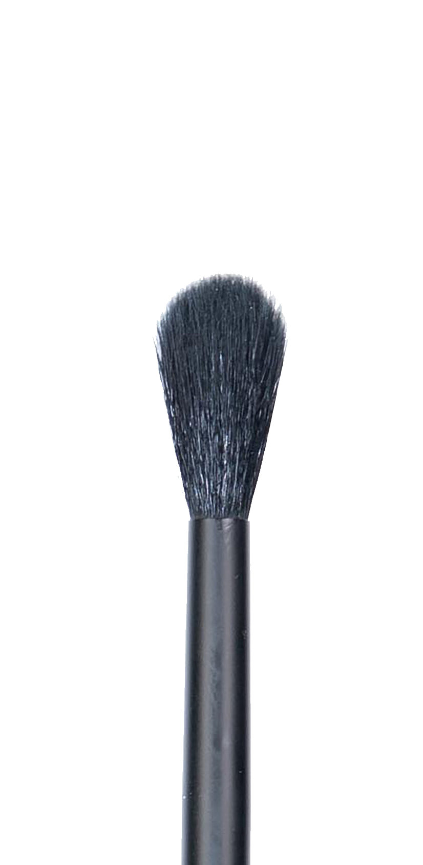 CK PRO Brush #10