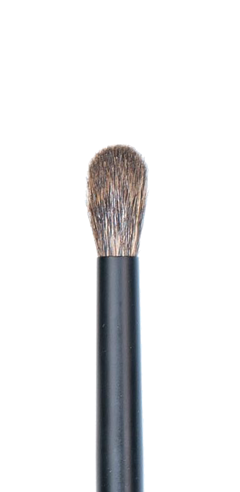 CK PRO Brush #11