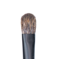 CK PRO Brush #12