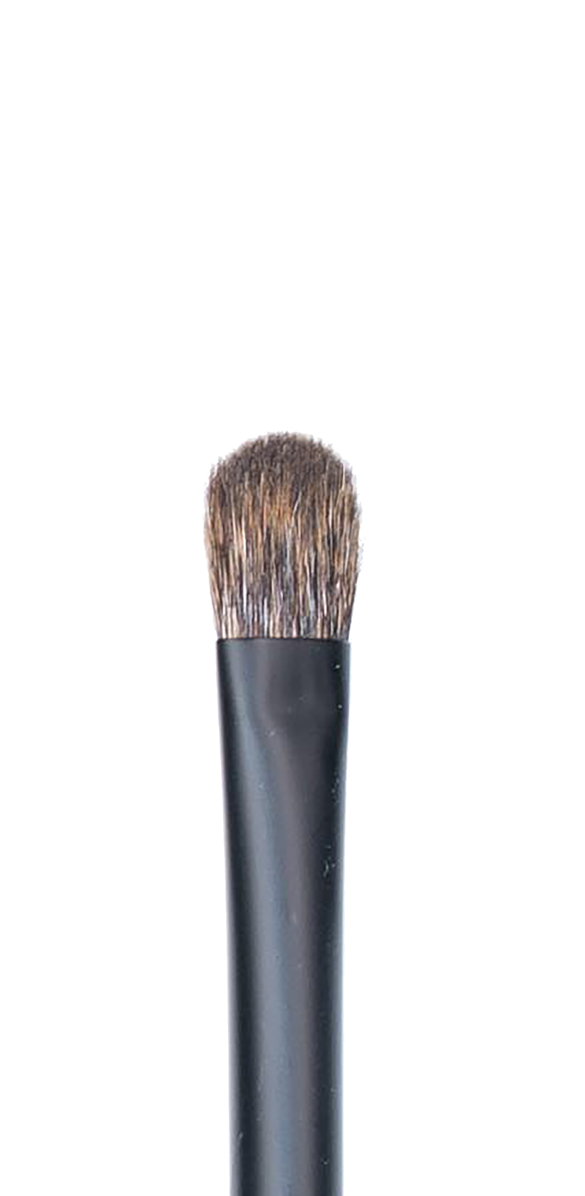 CK PRO Brush #12