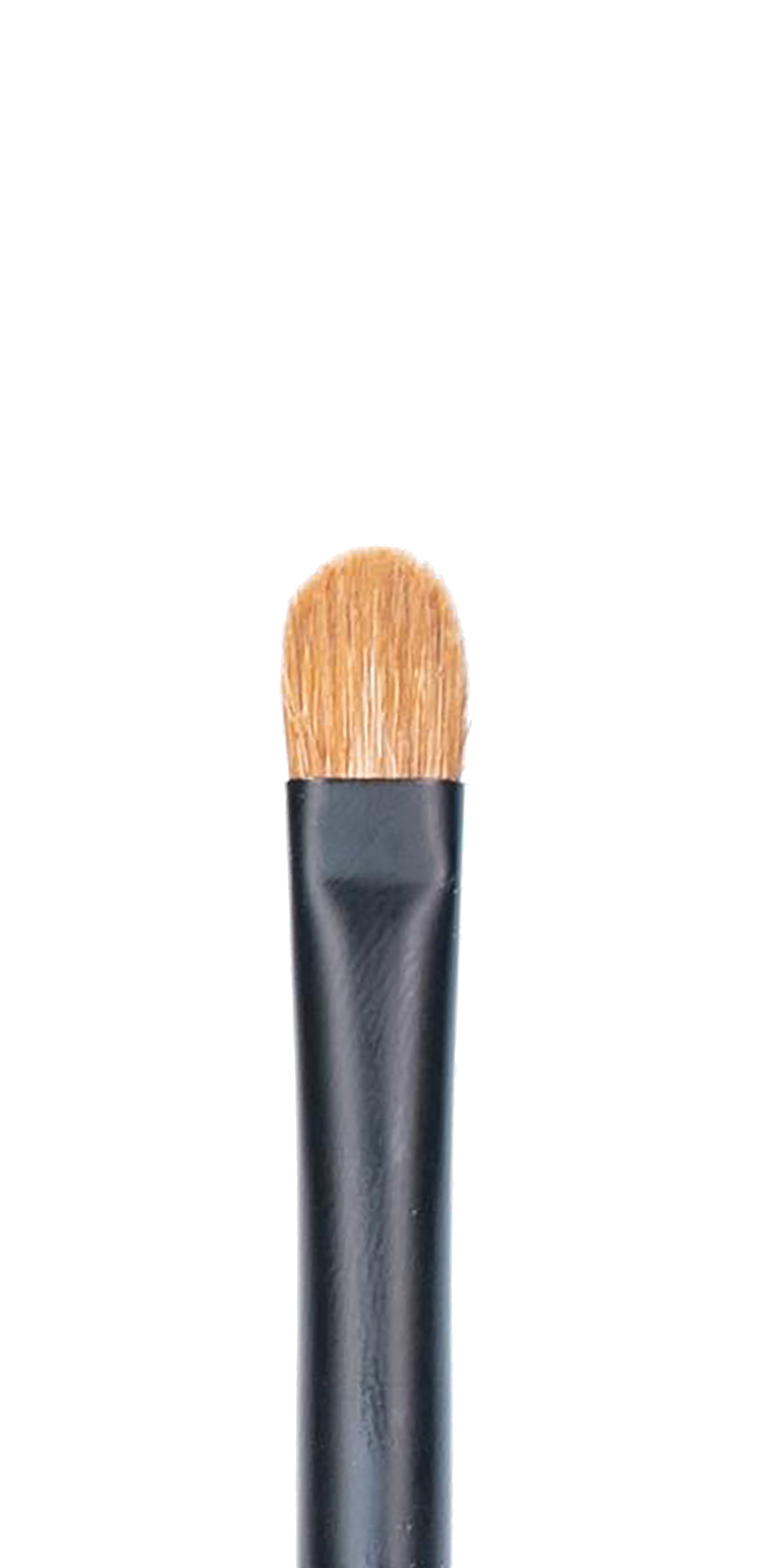 CK PRO Brush #14