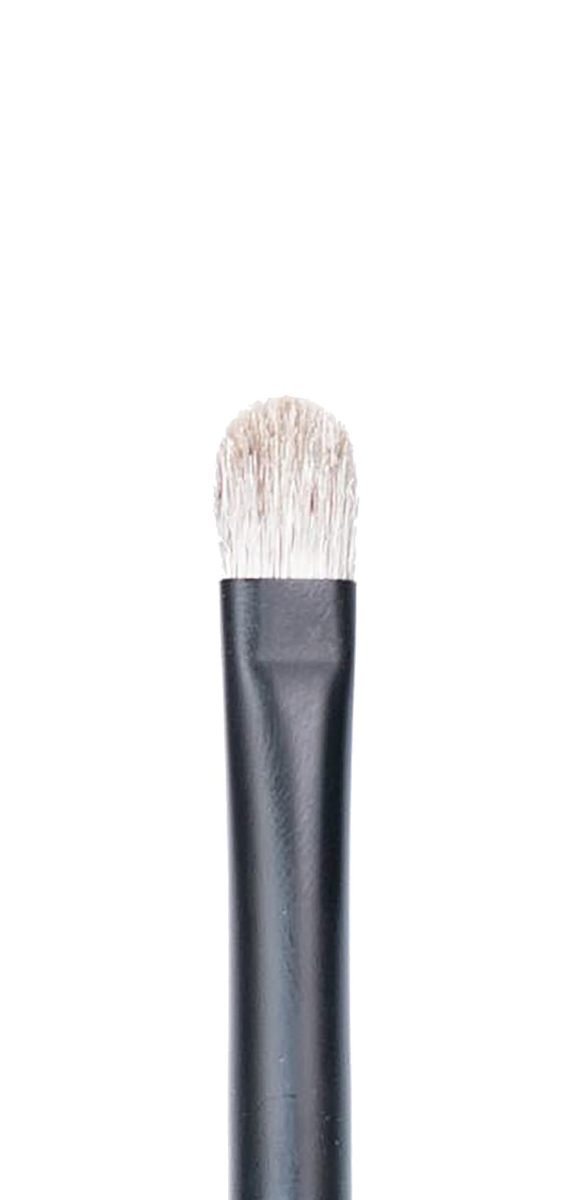 CK PRO Brush #15