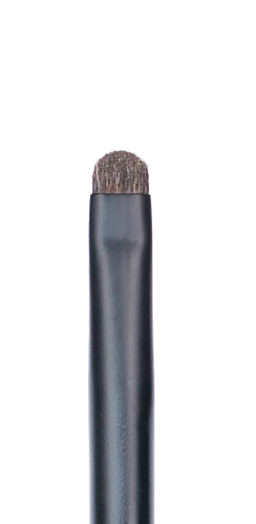 CK PRO Brush #16