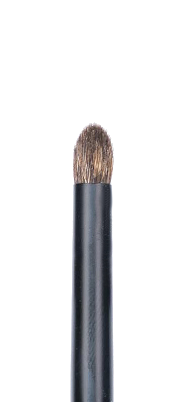 CK PRO Brush #17