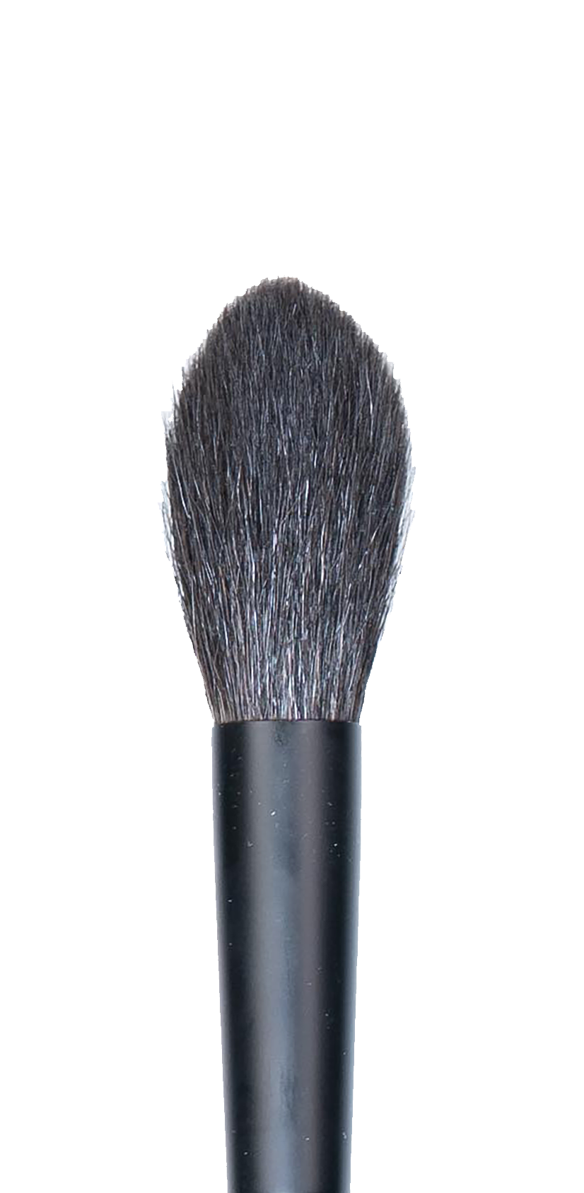 CK PRO Brush #5