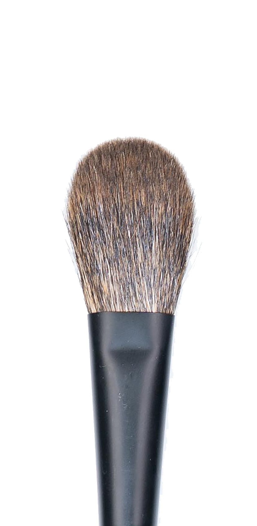 CK PRO Brush #6