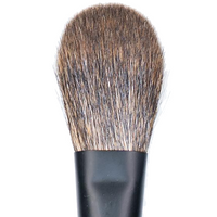 CK PRO Brush #6