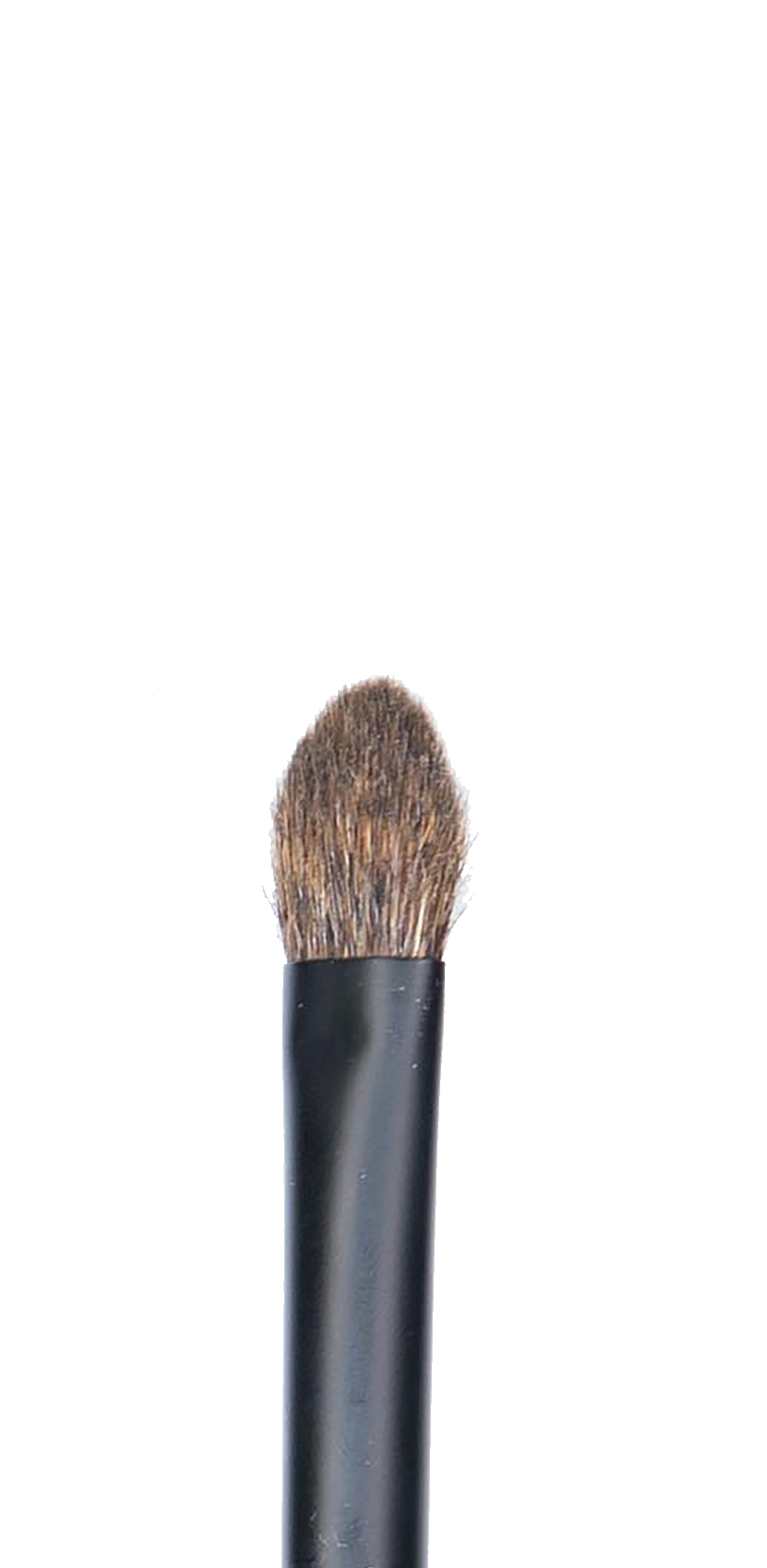 CK PRO Brush #8