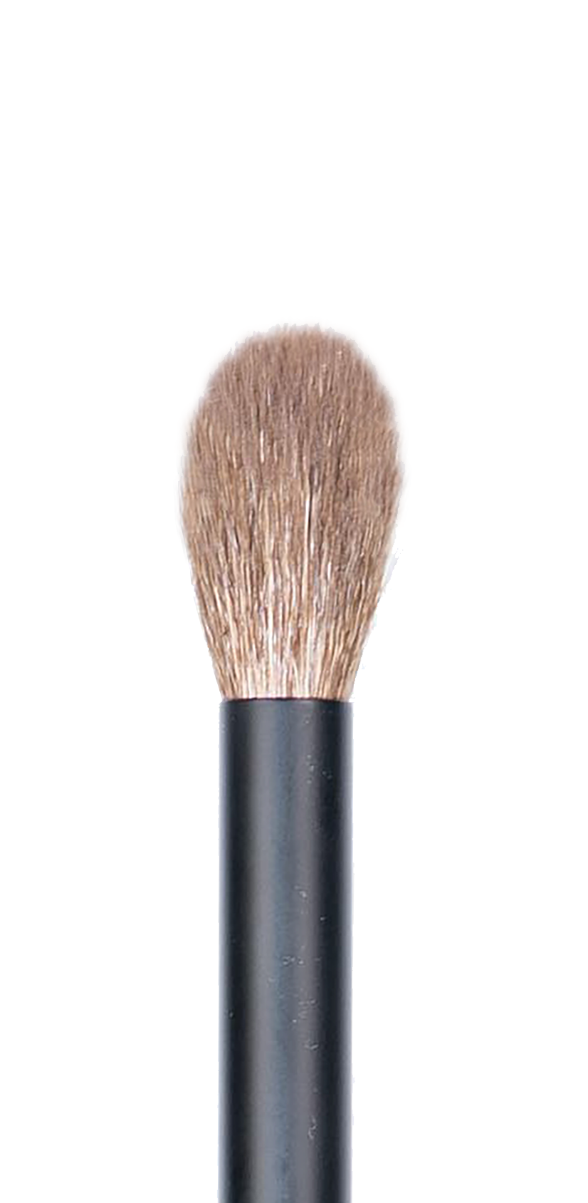 CK PRO Brush #9